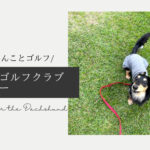 Blog Banner ブログ記事バナー 【軽井沢】わんことショートゴルフをプレイできる！北軽井沢ゴルフクラブ　バーディー